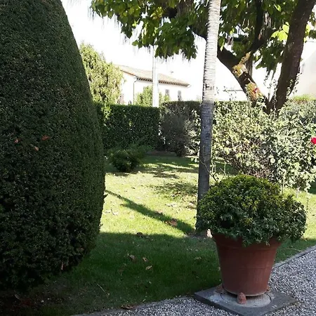Ippocastano