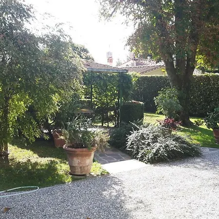 Ippocastano * Lucca